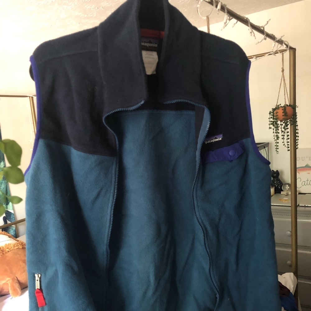 patagonia vest